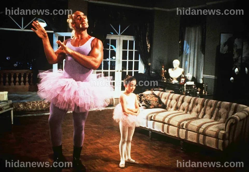 Hulk Hogan's roles as movie star, media crusader and MAGA hypeman had a ...