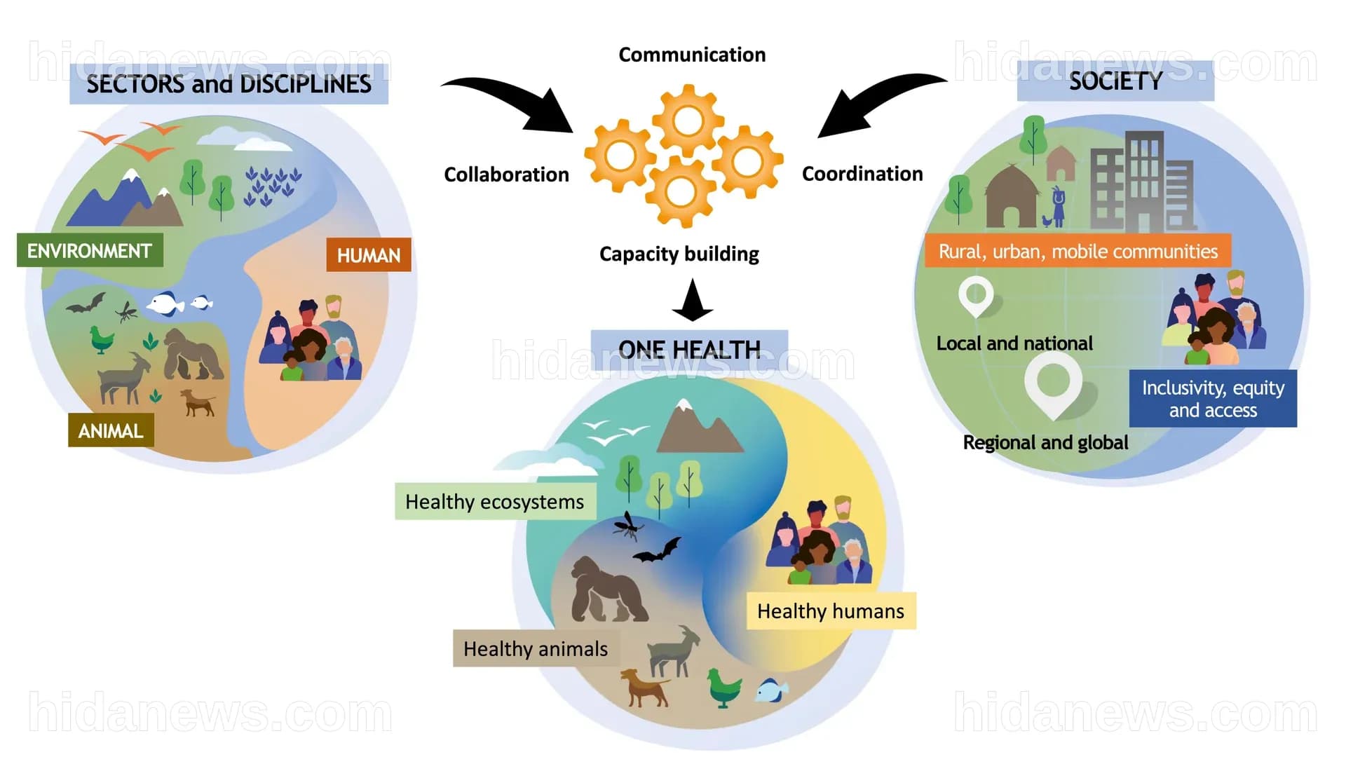 L'OMS esorta a investire in azioni "One Health" per una migliore salute ...