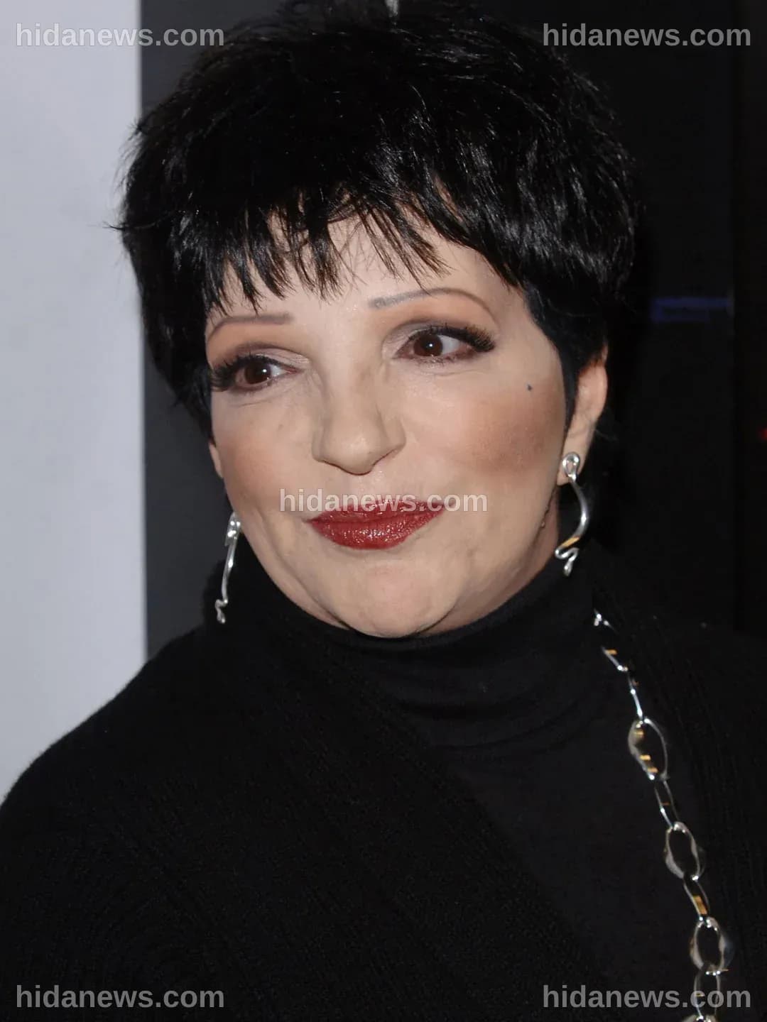 Liza Minnelli: La Biografia della Diva di Broadway e Cinema
