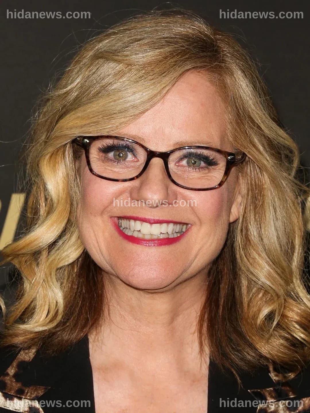 La Carriera e la Vita di Bonnie Hunt: Un Viaggio Attraverso il Talento e l'Umorismo